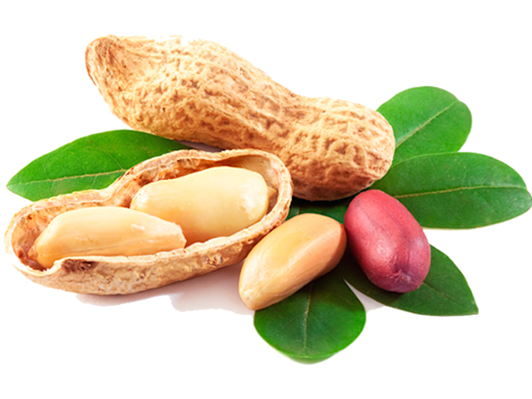 Peanut